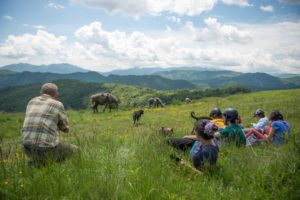 Nomazi în munții Lotrului @ Nedeea Valceana | Călinești | Județul Vâlcea | România